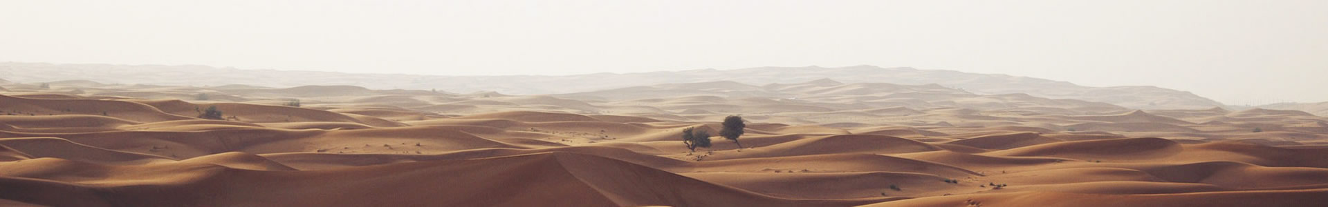 䰲н޹˾